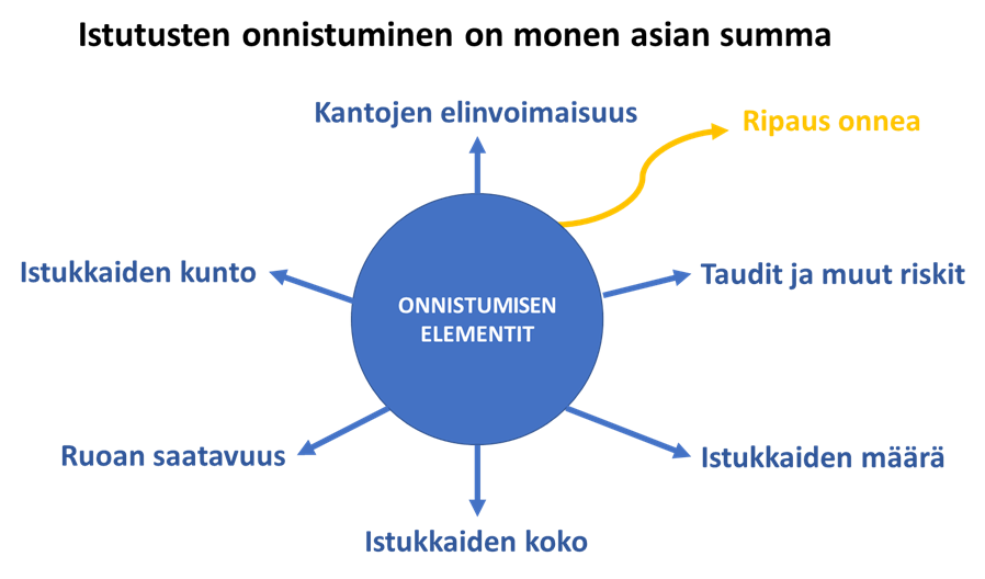 Järvilohen-istutusten-onnistuminen-on-monen-asian-summa