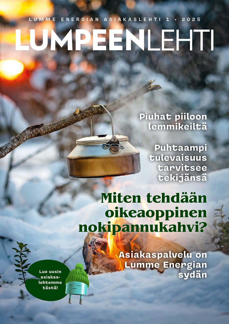 Lumpeenlehti_helmikuu_25_KANSI