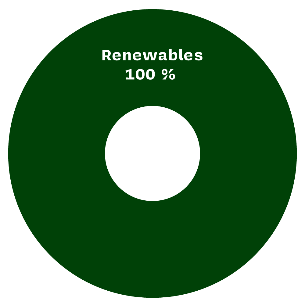 Graphics Renewables100 Graphics Renewables100