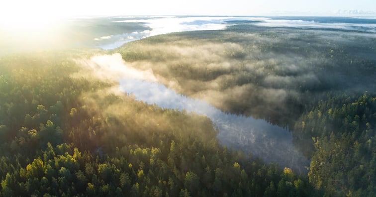 Järvimaisema auringonnousussa taivaalta kuvattuna ja tuhansia vihreitä puita.