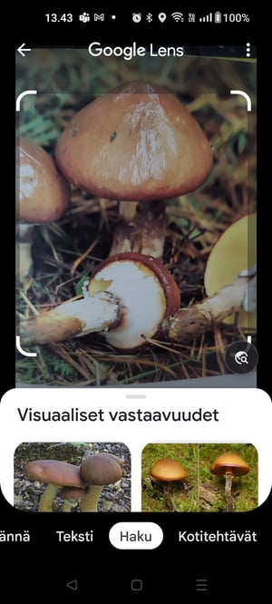Screenshot_lens