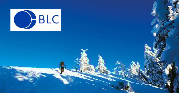 feature_referenssi_BLC_fiiliskuva