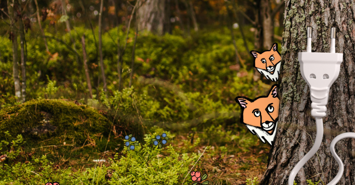 Metsä, jossa ketut kurkkaavat puun takaa ja sähköjohto kiipeää puun runkoa pitkin.