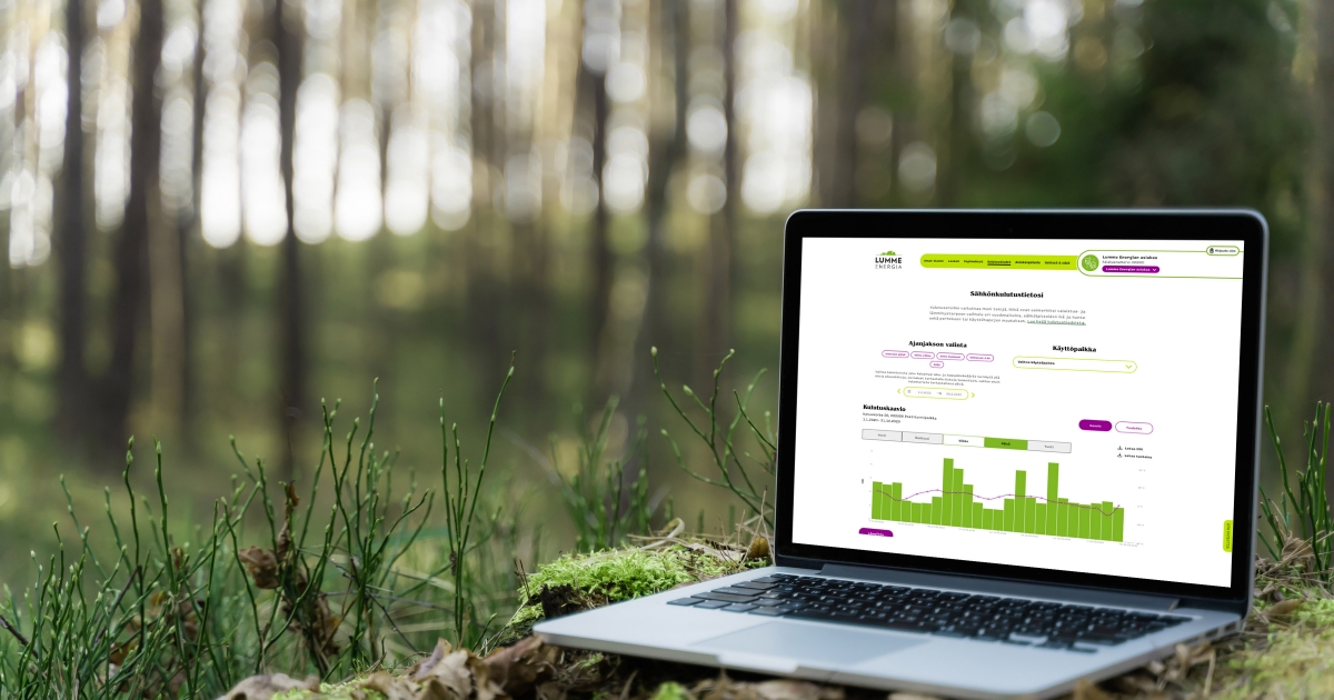 OmaLumme sähkönkulutus metsämaisema OmaLumme sähkönkulutus metsämaisema