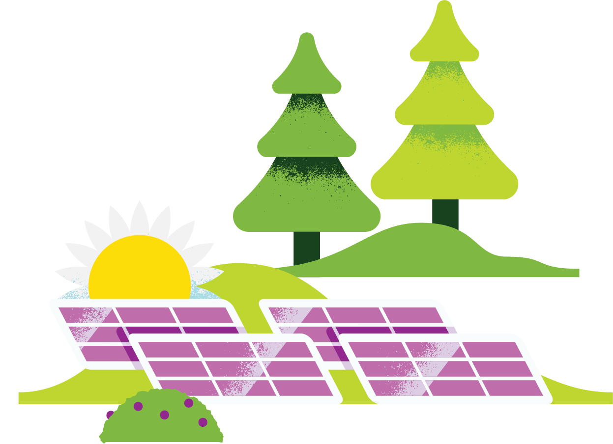 Aurinkopaneelit ja metsä piirroskuva