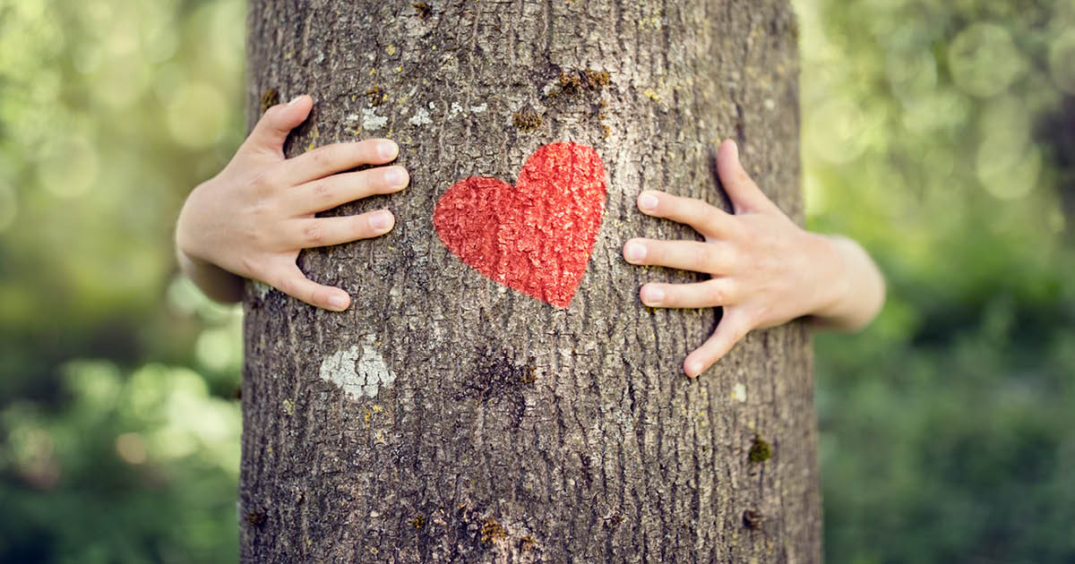 Kädet halaavat puuta johon on piirretty punainen sydän.