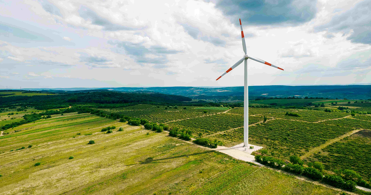 Tuulivoimala keskellä vihreää peltoa.