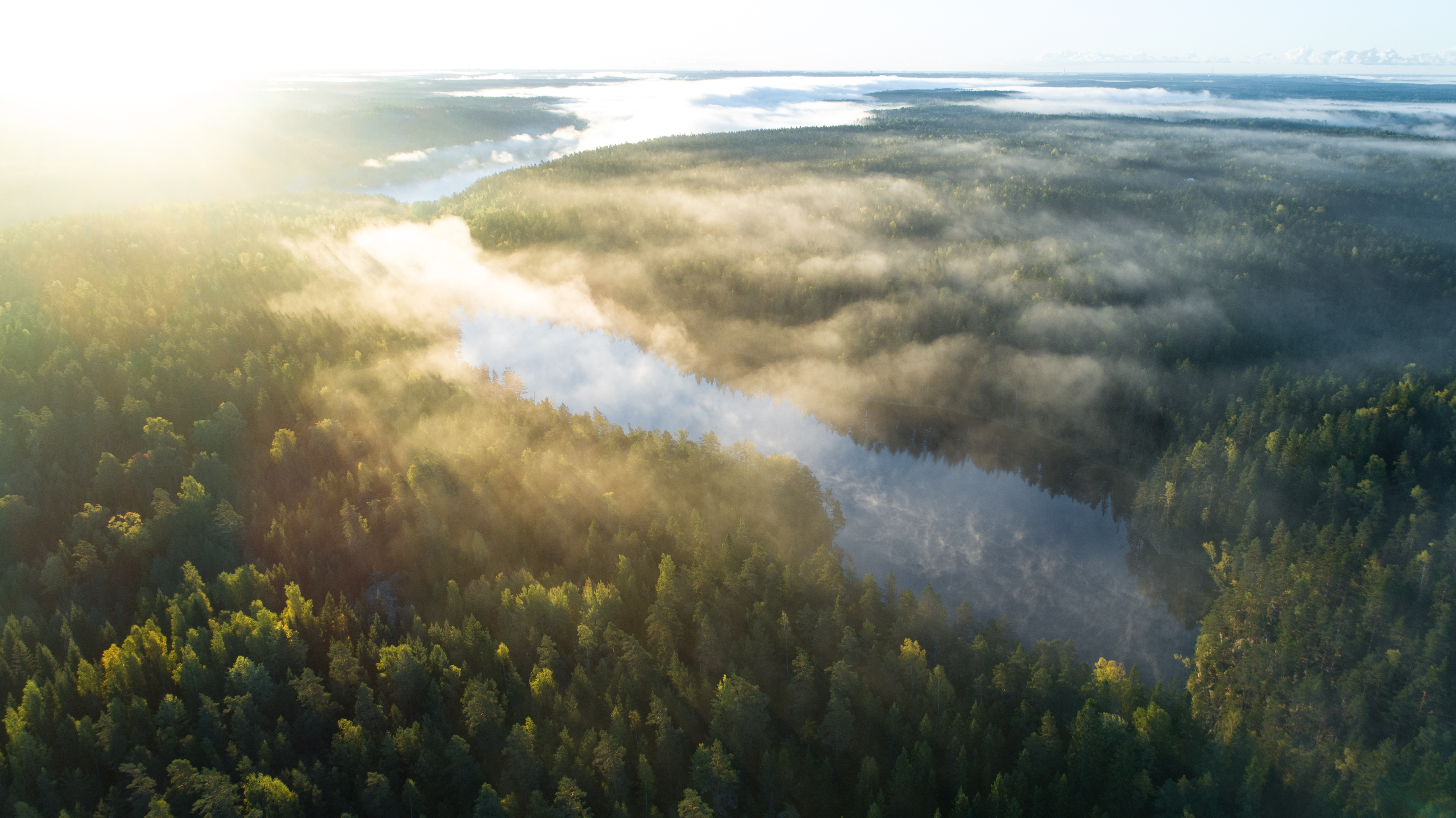 Suomen luonto
