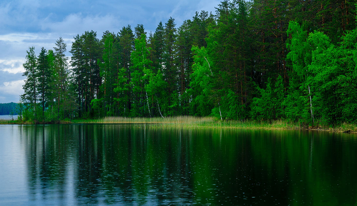kesä-jarvimaisema-1200