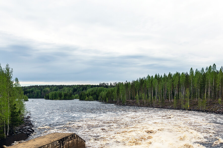 Paltamo_elinvoimainen_jarvilohi_kalantutkimus_900_600